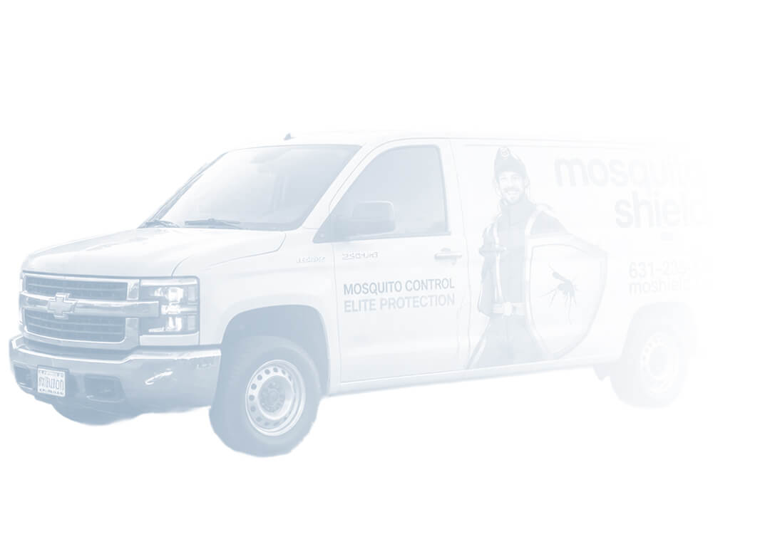 Mosquito suv