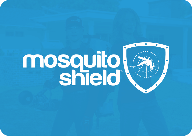 Mosquito logo